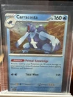 Carracosta