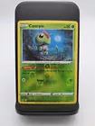 Caterpie