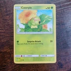 Caterpie