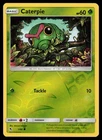 Caterpie
