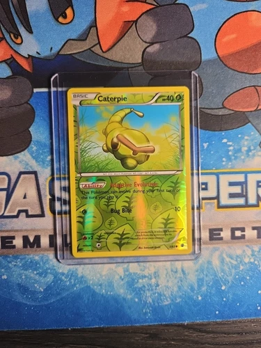Caterpie