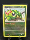 Caterpie