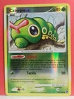 Caterpie