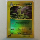 Bayleef