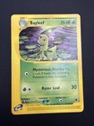 Bayleef