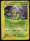 Bayleef