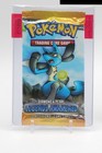 Booster Pack