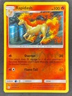 Rapidash