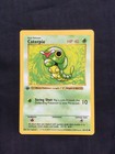 Caterpie