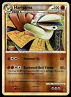 Hariyama
