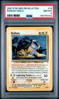 Raikou