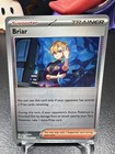 Briar