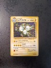 Magneton