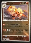 Arcanine
