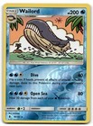 Wailord
