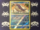 Wailord