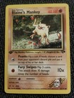Blaine's Mankey