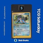 Swampert
