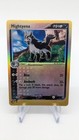 Mightyena