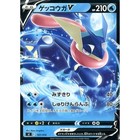 Greninja V