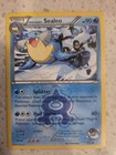 Team Aqua's Sealeo
