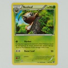 Nuzleaf