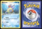 Wartortle