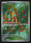 Shuckle