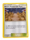 Brock's Pewter City Gym