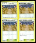 Brock's Pewter City Gym