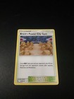 Brock's Pewter City Gym