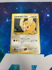 Shining Noctowl