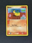 Spearow