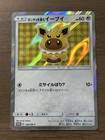 Poncho-Wearing Eevee 