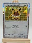 Poncho-Wearing Eevee 