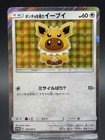Poncho-Wearing Eevee 