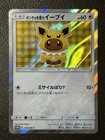 Poncho-Wearing Eevee 