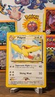 Pidgeot