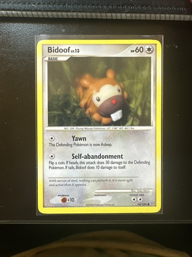 Bidoof