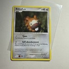 Bidoof