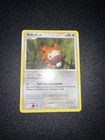 Bidoof