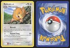 Raticate