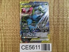 Raichu & Alolan Raichu Tag Team GX