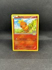 Torchic