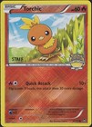 Torchic