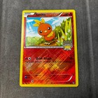 Torchic
