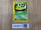 Caterpie