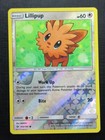 Lillipup