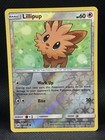 Lillipup