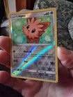 Lillipup